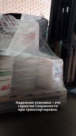 29 октября 2024 г.