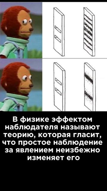 Ультракоротко ⏱️ Эффект наблюдателя #Наука #Физика #Интересно #Юмор смотреть онлайн