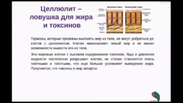 Лишний вес причины возникновения и способ снижения смотреть онлайн