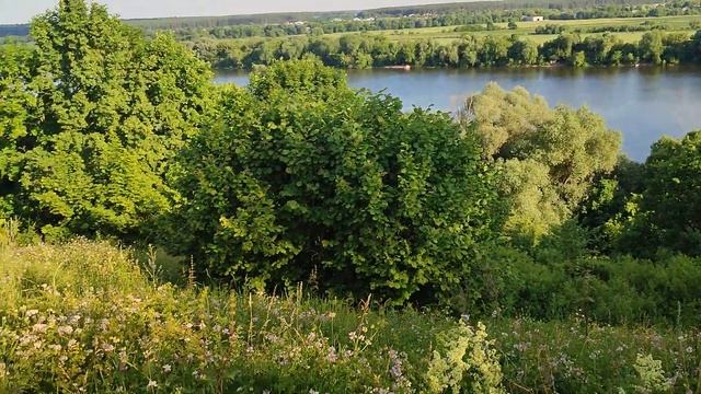 Нагорная Дубрава. Заповедник. смотреть онлайн