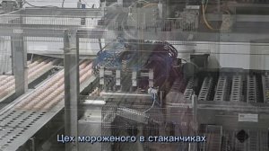 Экскурсия на фабрику мороженого Ангария
1А Гимназия №1