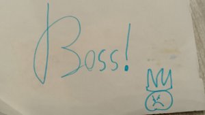 Сражение с боссами