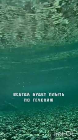 трендовые имена 😂