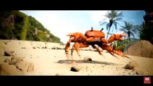 ☁︎ТАНЦУЮТ КРАБИКИ☁︎