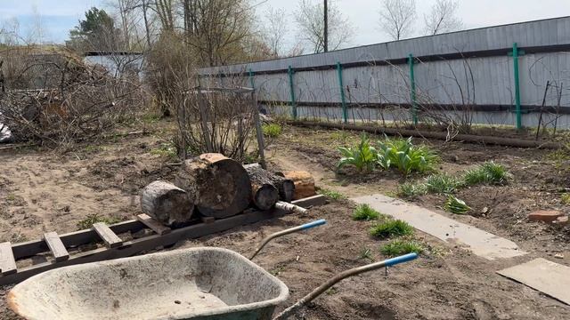 Купили дачу. Наводим порядок во дворе. Столько мусора мы еще не видели. Часть 2.