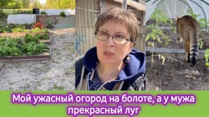 Мой ужасный огород, наши 40 соток, муж косит луг уже 4 дня