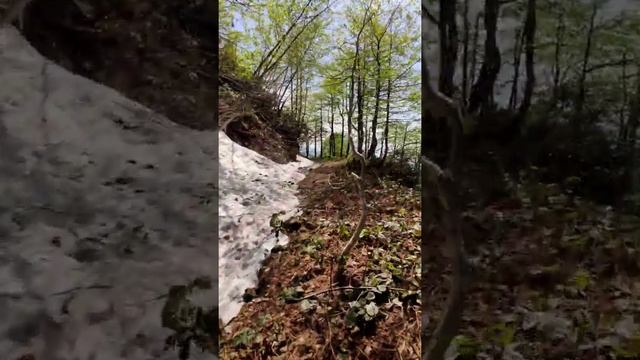 Парк Мтирала , Батуми смотреть онлайн