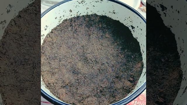 Заготовка и ферментация Иван чая. смотреть онлайн