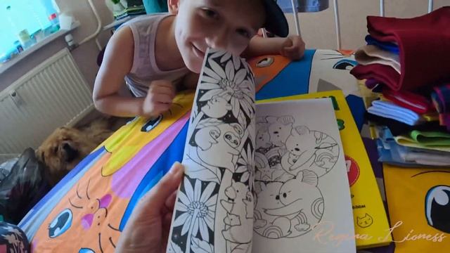 ✅VLOG 2024/Новые заказы с WB/удобная миска для Чау-чау/Regina Lioness🐾 смотреть онлайн