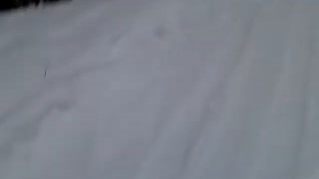 пихтовые горы #5 смотреть онлайн