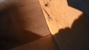 #15: Закончили стропильник, начали перегородки (Строим бетонный каркасник/фахверк)