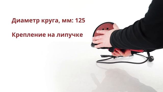 WORTEX  LX RS 1245 1 E Эксцентриковая шлифмашина