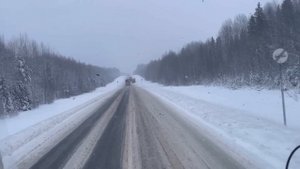 Кругом обман с весами. Баню красит - вопросы решает. Ищем водителя. В гостях у Андрея