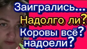 Деревенский дневник. "Коровы уже не нужны"