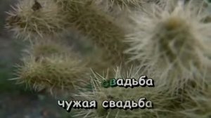 КАРАОКЕ  024 ЧУЖАЯ СВАДЬБА  ДЕРЖАВИН А  Karaoke123