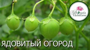 ЯДОВИТЫЙ ОГОРОД