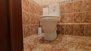 Т. СНЕЖИНОЙ