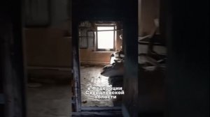 Присоединяйтесь к нашим призывам, только так мы сможем стать счастливыми!