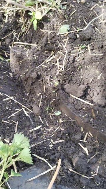 Коромысло смотреть онлайн