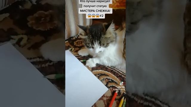 Кто лучше нарисует получит статую МИСТЕРА СНЕЖКА! 😱😱😱