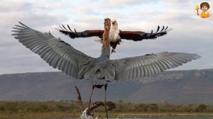 🎬 Эволюция животных: Вымершие животные которых видели древние египтяне.