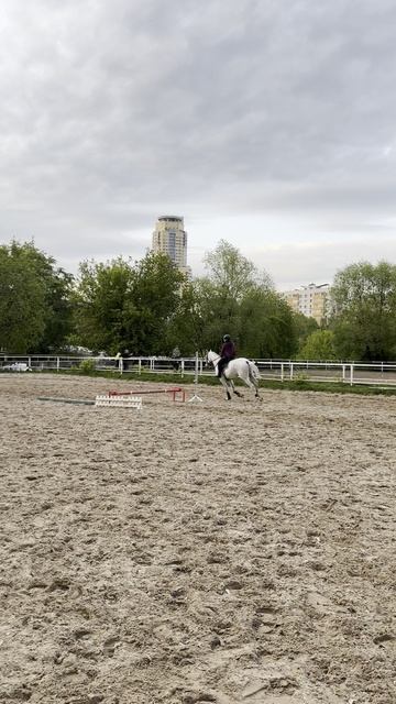 rutube.ru
