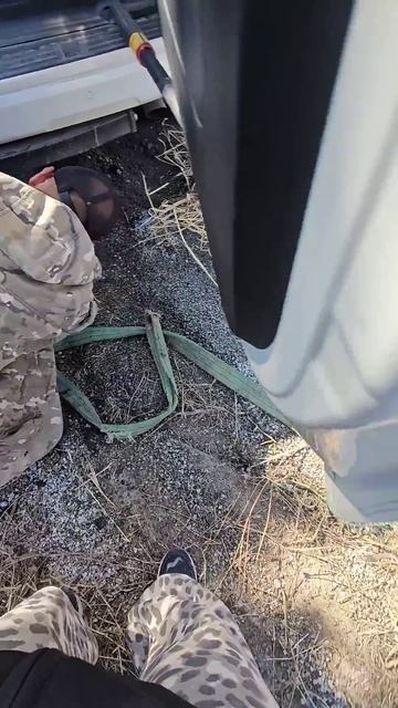 Навоз привезли на участок. 8000р с доставкой #дача #огоро смотреть онлайн