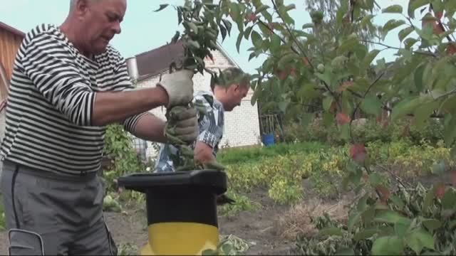 Вариант использования садового  измельчителя!