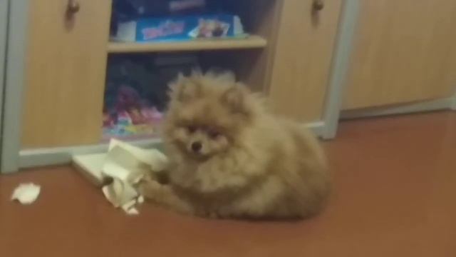 Барни "читает" смотреть онлайн