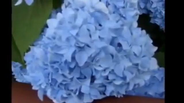 Музыка для приятного вечера,позитив смотреть онлайн