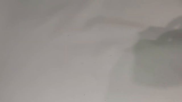 ПРЯЖИ ДЛЯ НОСОЧКОВ МНОГО НЕ БЫВАЕТ ))) смотреть онлайн