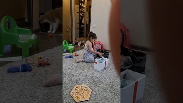 разбирает носки смотреть онлайн