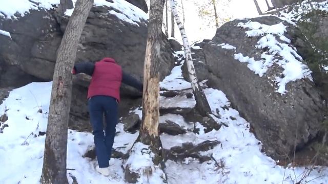 Кобылья голова