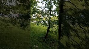Май, соловьи, храм, ул. Минаева г. Ульяновск