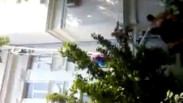 день ВМФ в Севастополе смотреть онлайн