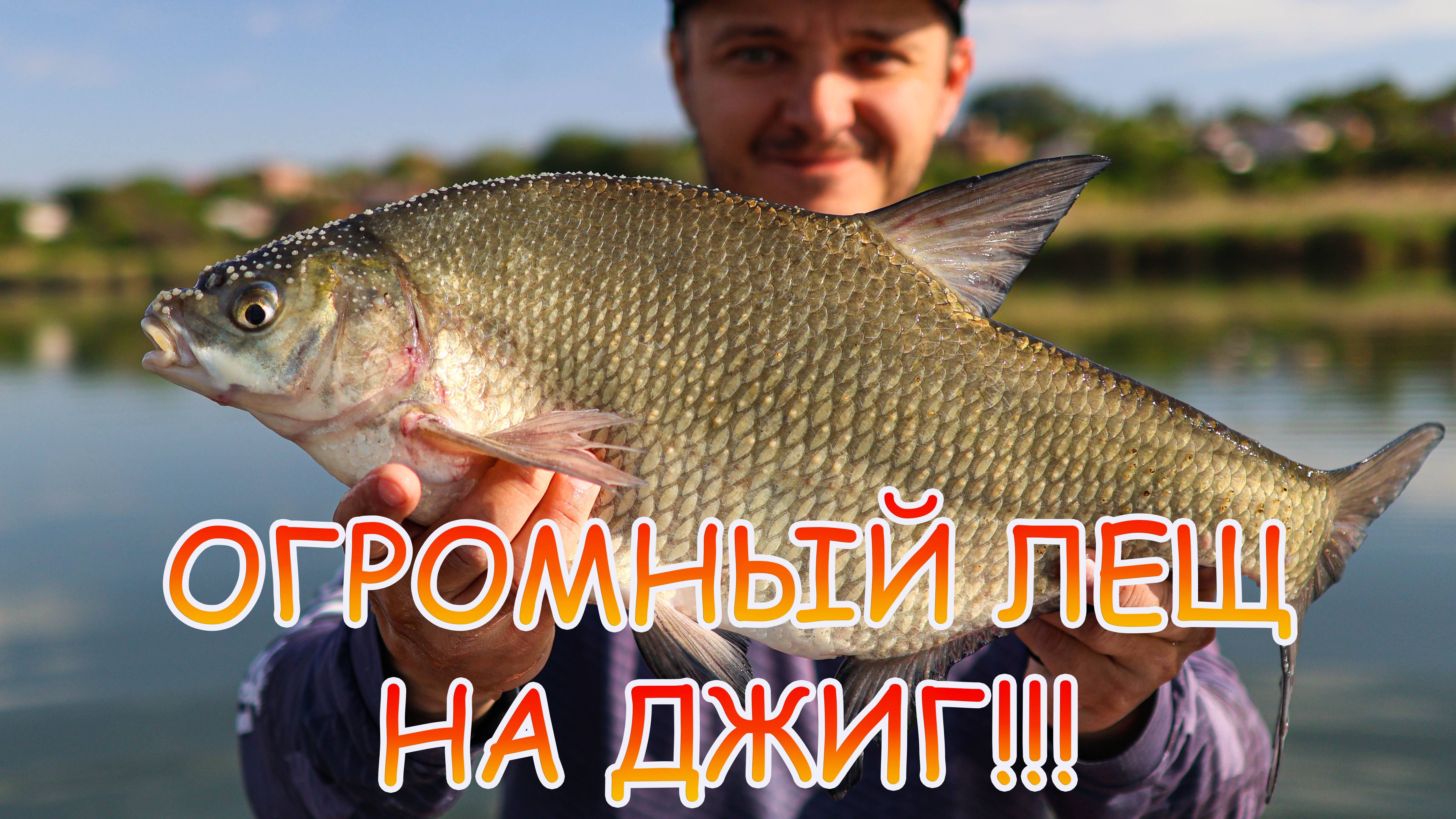 Поймал ОГРОМНОГО леща на джиг 💪💪💪 За судаком на речку 👍