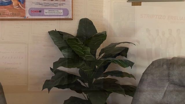 Драугисте-Санаторий в Друскининкай!👍😊6-день Реабилитации!👍29-07-2023 смотреть онлайн