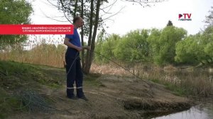 Около сотни воронежских пляжей обследуют водолазы