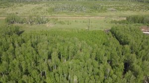 Продам земельный участок в Красном Поле Челябинская область