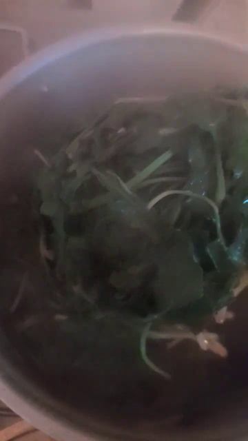 Резак Falcaria Vulgaris смотреть онлайн