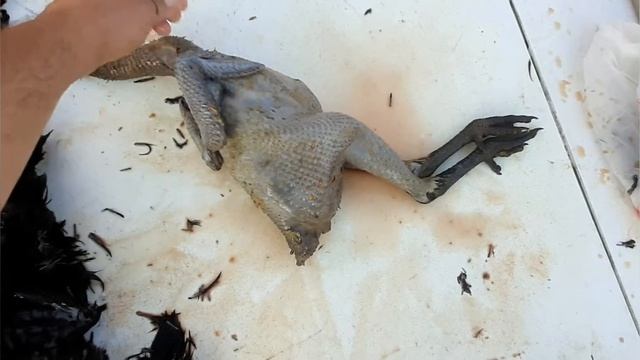 Зарубал Петухов или Не надо меня злить!!!