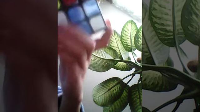 Одна сторона кубика Рубика смотреть онлайн