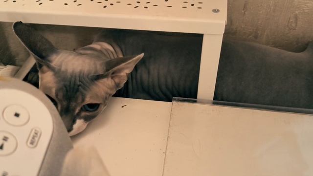 30 ноября 2022 г. смотреть онлайн