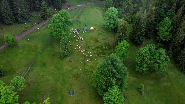 Максим Аладьин Карпати 2021 Свидовец Говерла смотреть онлайн