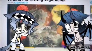 Тупость в тренде:Удивительный мир гамбола