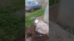 В ОГОРОДЕ ВСЕГДА НАЙДЁТСЯ РАБОТА 😀