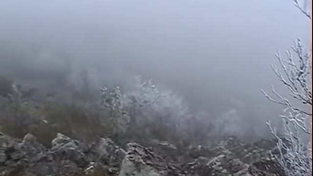 Помяненный 2004 09