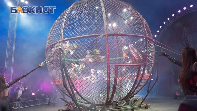 Краснодарцев поразила новая шоу-программа цирка Демидовых смотреть онлайн