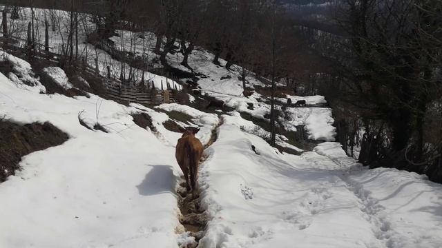 28 февраля 2023 г. смотреть онлайн