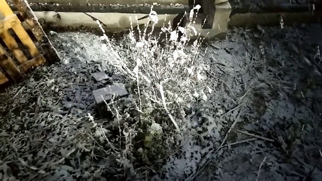 #снежок и ветер, и лучик света в темноте